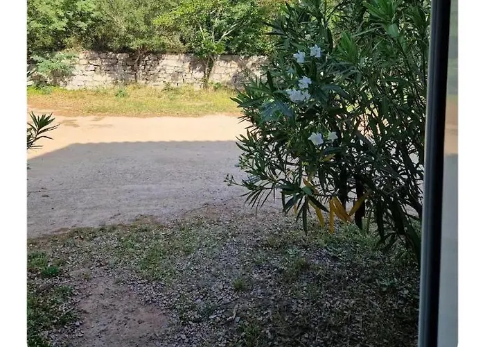 Διαμέρισμα Rez De Avec Jardin Πόρτο Βέκιο