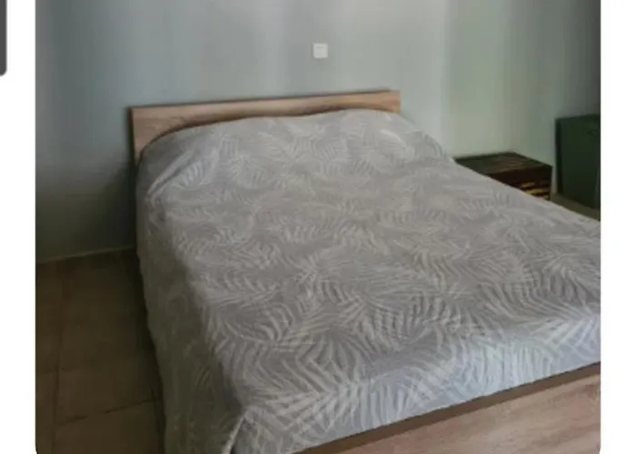 Rez De Avec Jardin Appartement *